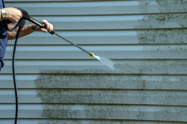 Best Deck and Patio Pressure Washing in Lisbon, IA